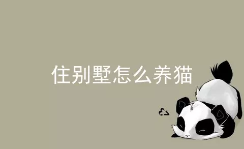 住别墅怎么养猫