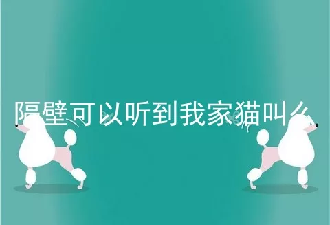 隔壁可以听到我家猫叫么