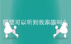 隔壁可以听到我家猫叫么