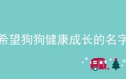 希望狗狗健康成长的名字