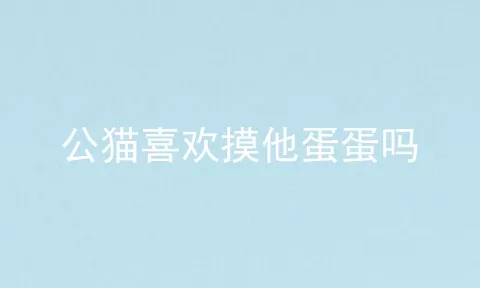 公猫喜欢摸他蛋蛋吗