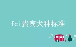 fci贵宾犬种标准