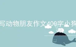 写动物朋友作文400字小狗