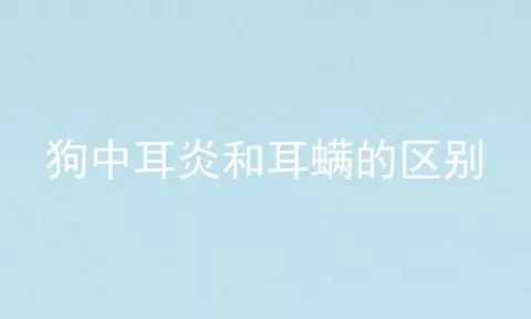 狗中耳炎和耳螨的区别