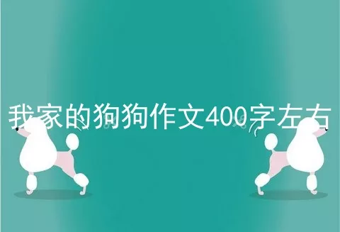 我家的狗狗作文400字左右