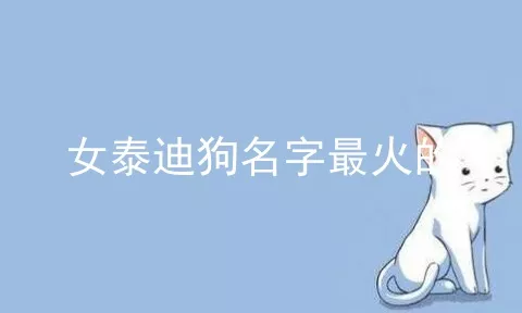 女泰迪狗名字最火的