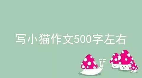 写小猫作文500字左右