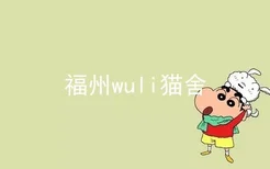 福州wuli猫舍