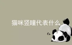 猫咪竖瞳代表什么