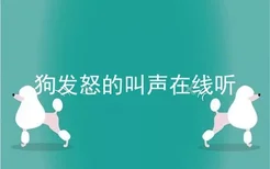 狗发怒的叫声在线听