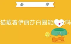 猫戴着伊丽莎白圈能睡觉吗