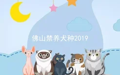 佛山禁养犬种2019