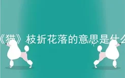 《猫》枝折花落的意思是什么