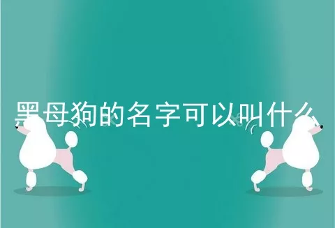 黑母狗的名字可以叫什么