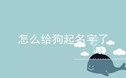 怎么给狗起名字了