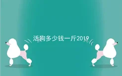 活狗多少钱一斤2019