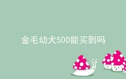 金毛幼犬500能买到吗