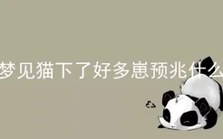 梦见猫下了好多崽预兆什么