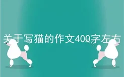 关于写猫的作文400字左右