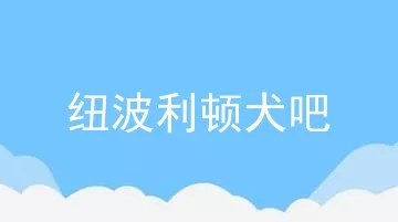 纽波利顿犬吧