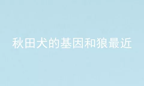 秋田犬的基因和狼最近