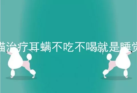 猫治疗耳螨不吃不喝就是睡觉