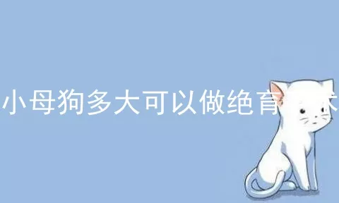 小母狗多大可以做绝育手术