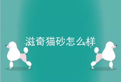 滋奇猫砂怎么样