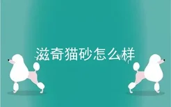 滋奇猫砂怎么样