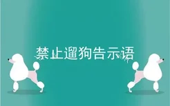 禁止遛狗告示语