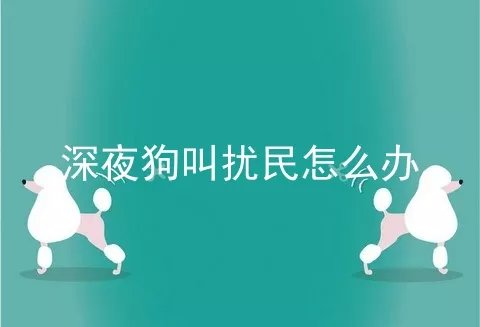 深夜狗叫扰民怎么办