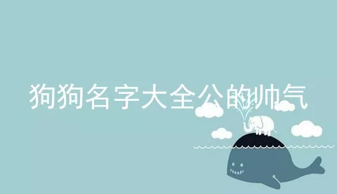 狗狗名字大全公的帅气