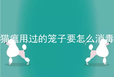 猫瘟用过的笼子要怎么消毒