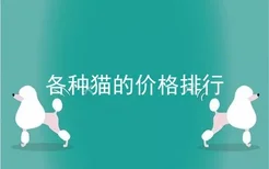 各种猫的价格排行