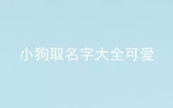 小狗取名字大全可爱