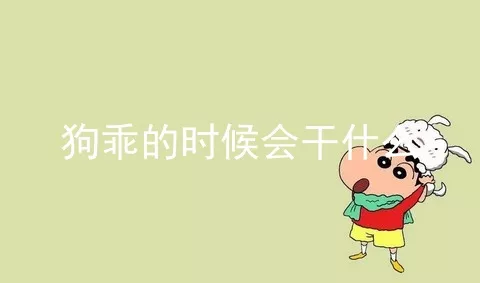 狗乖的时候会干什么