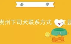 贵州下司犬联系方式 麻江县
