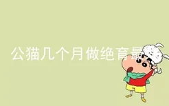 公猫几个月做绝育最好