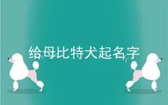 给母比特犬起名字