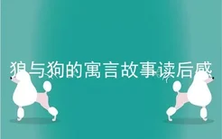 狼与狗的寓言故事读后感