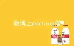 微博上morning猫