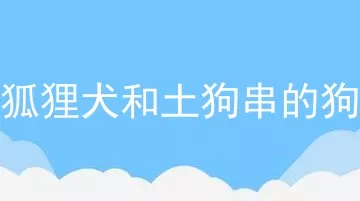 狐狸犬和土狗串的狗