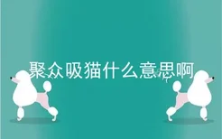 聚众吸猫什么意思啊