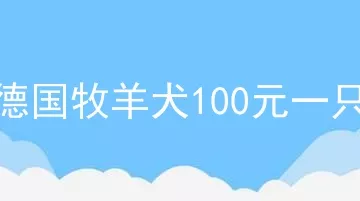 德国牧羊犬100元一只