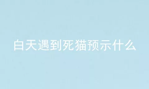 白天遇到死猫预示什么