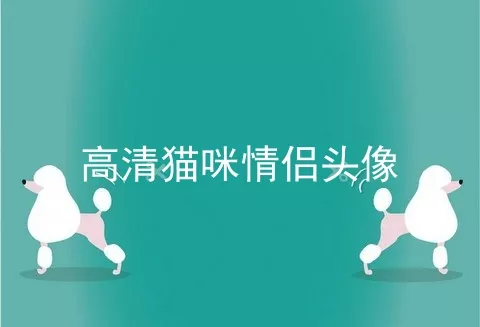 高清猫咪情侣头像