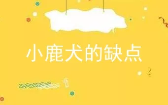 小鹿犬的缺点