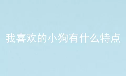 我喜欢的小狗有什么特点