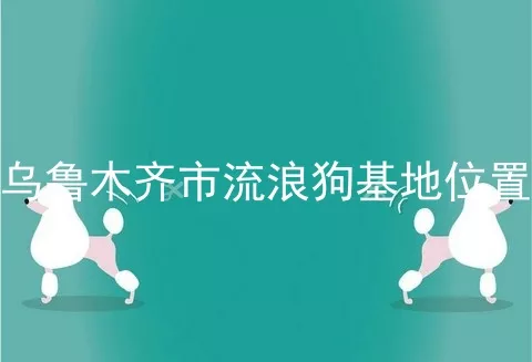 乌鲁木齐市流浪狗基地位置