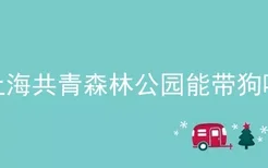 上海共青森林公园能带狗吗